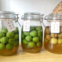 青梅酒自制VS市售哪个更安全？396+用户真实观点全景呈现