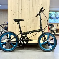 大行P8折叠车是‘神车’还是‘过时爆款’？652+用户真实观点大PK