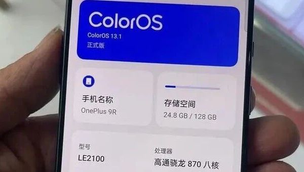 闲鱼3-400的二手手机，骁龙870处理器，OLED屏，跑分70万，一加9R