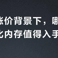内存涨价背景下，哪些高性价比内存值得入手？244位用户实测推荐