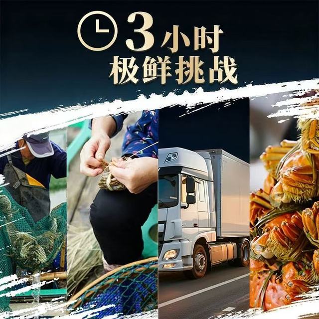 蟹如愿阳澄湖大闸蟹纯母蟹：以鲜为礼，不负秋光不负你