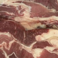 巴西牛肋肉4斤适合多种烹饪