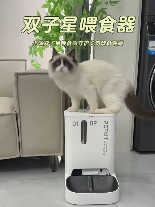 小佩双子星喂食器 精准控量+密封锁鲜 爱宠每口都新鲜#小佩双子星喂食器 #小佩 #喂食器 #宠物 #宠物推荐官