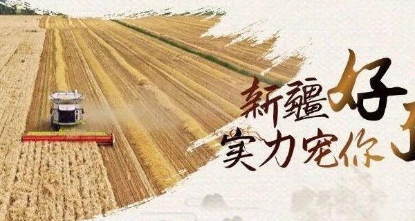 为什么新疆的面这么好吃？答案就在这里！