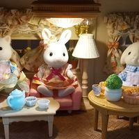 甜梦小屋信箱版5567：森贝儿大屋扩充记