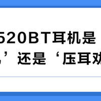 JBL 520BT耳机是‘性价比神机’还是‘压耳劝退’？300+用户真实评价大碰撞