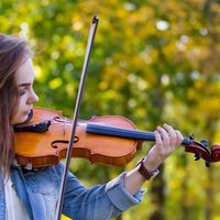 初学者小提琴选购指南：500-5000元双十一抄底价推荐！9款闭眼入