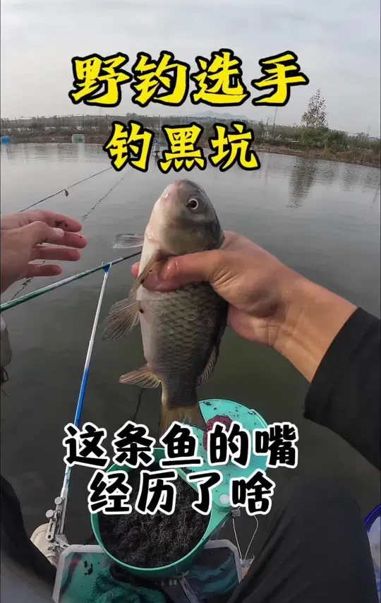 #来场金秋钓鱼局 @汉鼎官方旗舰店#汉鼎真材实料放心入 #船长浮漂 #威拓森钓具 #汉鼎一号六代