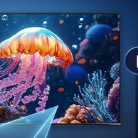 海尔小红花65H5C绽放版：144Hz高刷+一级能效，双11性价比之王！