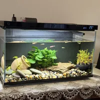 米家智能桌面鱼缸是'懒人福音'还是'智商税'？1000+用户观点大PK