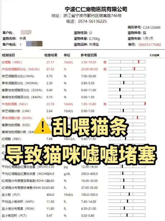 请正视猫咪嘘嘘问题，停止乱喂猫条了！