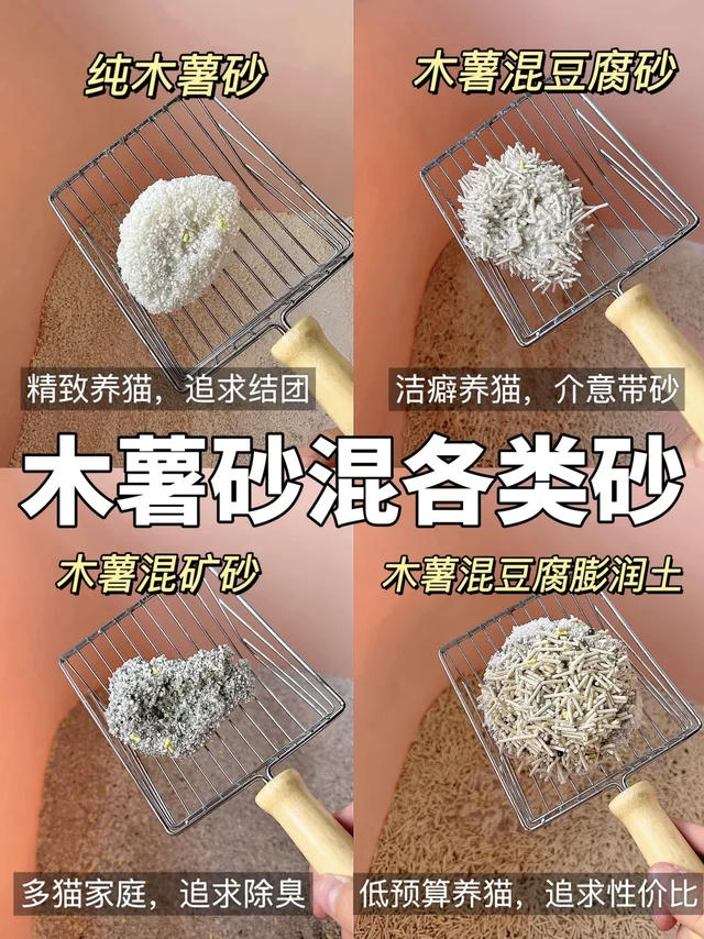 猫砂的尽头是混砂，混砂的尽头是打底