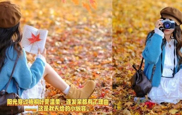 换季大扫除，衣物先「焕新」！秋天的温柔，从穿衣开始 。秋风起时，衣物的「软乎乎」才是治愈微凉的第一重仪式感。