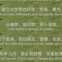 双十一购物省钱策略 生活中的省钱方式