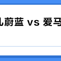 香奈儿蔚蓝 vs 爱马仕大地？38位用户真实体验告诉你谁更撩人