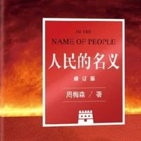 撕开权力面纱：《人民的名义》原著修订版双11必入推荐