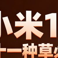 小米17，双十一种草必备？