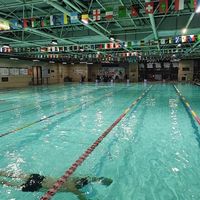 2000米39分钟自由泳的一点心得