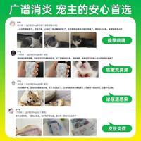 养宠必看！猫咪狗狗感冒流鼻涕？这些消炎用药误区别踩坑❗