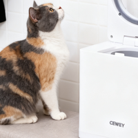 自制猫饭比喂猫粮更安心吗?猫咪自制猫饭食谱小红书合集