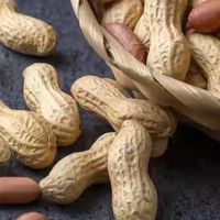 花生再次被关注！医生发现：常吃花生的人，不用多久，或有6改善