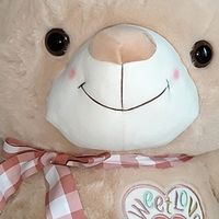 双十一封神入手!高品质泰迪抱抱熊,承包女生所有温柔