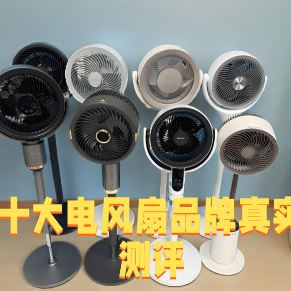 十大公认耐用的电风扇品牌真实对比，产品究竟哪个好用？