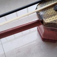 星海二胡：开启成人二胡学习与演奏的优质之选