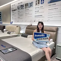 邓禄普跨界做枕头靠谱吗？653+用户真实观点大PK