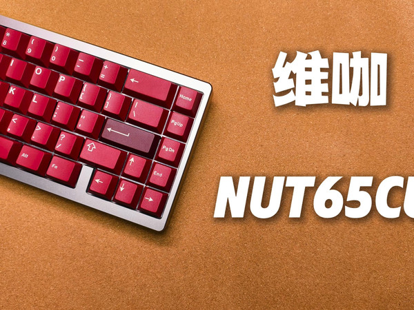 维咖Nut65Cu无棉全棉体验分享