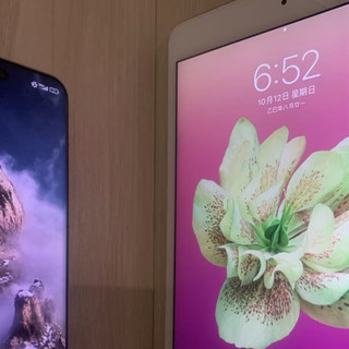 十年前的iPad mini 4还能用吗？全网用户观点大PK