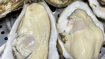 深海“能量宝”上线！3XL鲜京采生蚝7斤大满足，19-26只鲜到爆汁