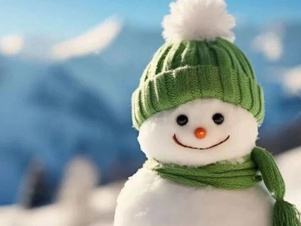 冬日暖脚攻略｜ECCO大棉vs二棉鞋怎么选？这几款闭眼入不踩雷