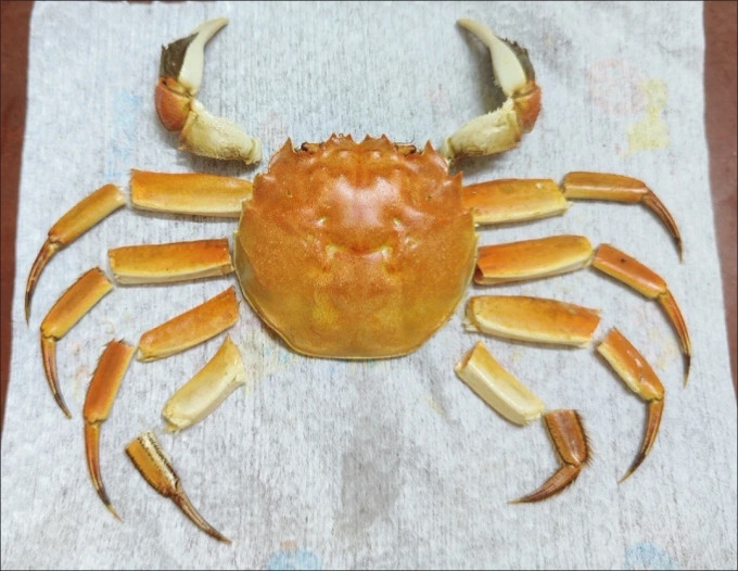 至鲜海鲜水产