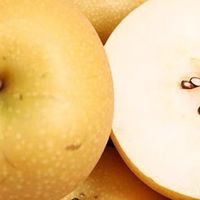 莱阳秋月梨：鲜果中的“羊脂玉”，一口爆汁的秋日盛宴。