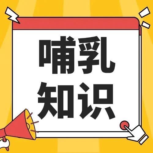 美德乐吸奶器四大明星型号深度对比!宝妈必看选购指南