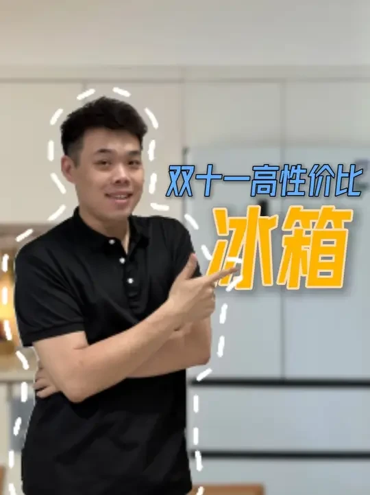 双11各价位值得买的高性价比冰箱 #家电 #冰箱 #冰箱怎么选 #双十一
