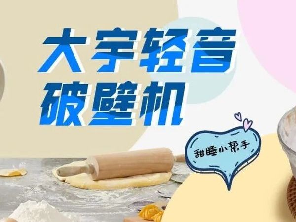 兔兔11.11团丨大宇轻音破壁机