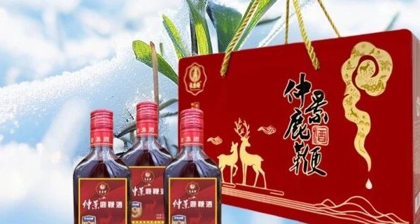 一壶暖酒，开启冬日养藏之道