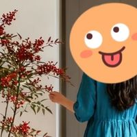 女子因“南天竹客厅太美”引围观，网友：真治愈，造型好看！