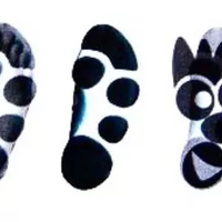 无矿家庭的魔都生存之道 篇零：廿年复出；卅年当打？三条杠是否还能再举起过气的“天足”大旗？