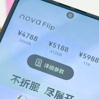 双十一折叠屏爆款，华为nova Flip，轻奢便携+硬核配置，闭眼入的