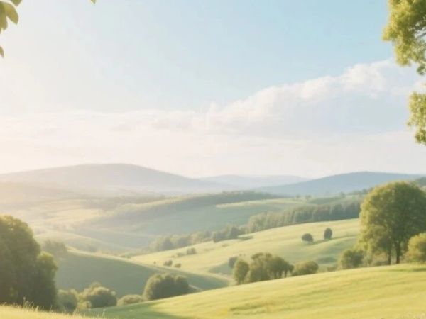 买瓶酱油，也能“涨见识”