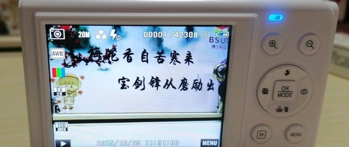 双11挖到宝！颜值实力双在线，这款相机让记录更尽兴

 