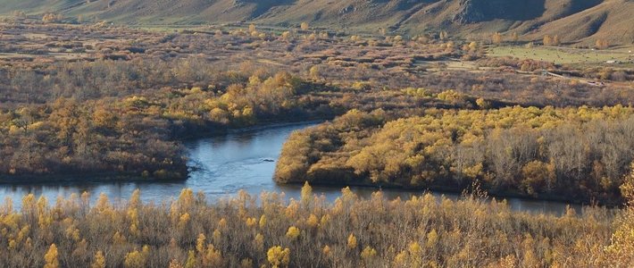 哈苏500CM胶片相机 vs OPPO Find X9 Pro？128位摄影爱好者真实体验大碰撞