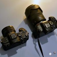 佳能R6III vs 索尼A7IV？12位用户实测对比，谁更值得买