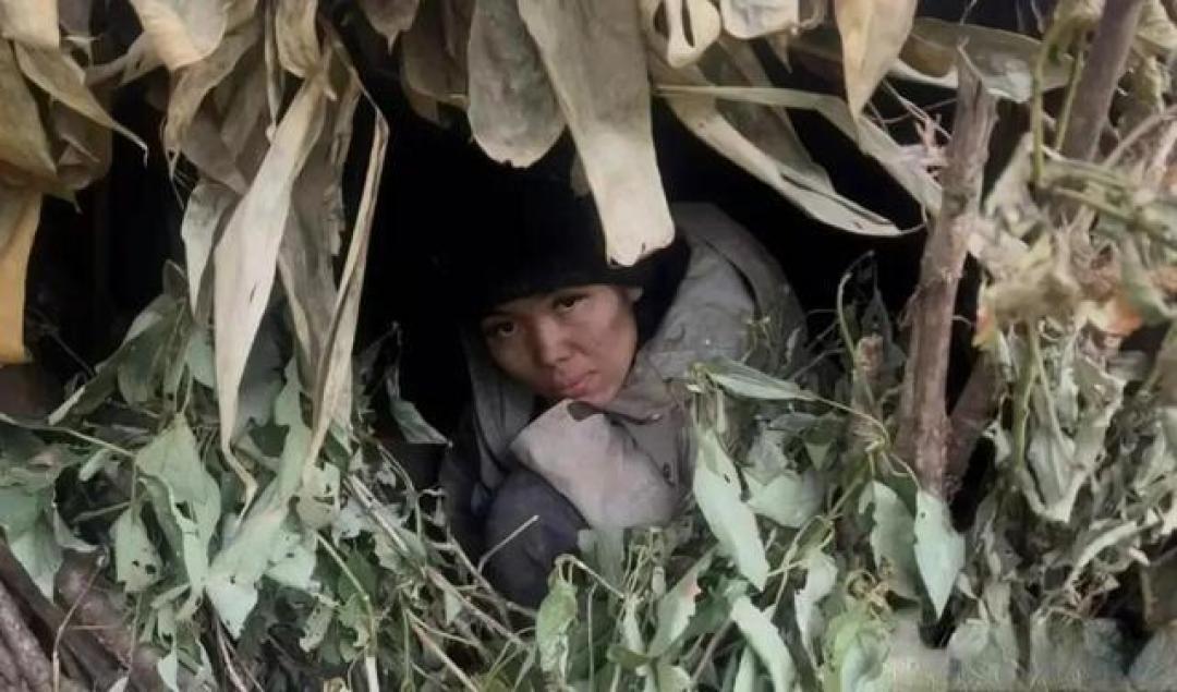 张家界荒野唯一女选手冷美人晋级:试毒法与火种守护创奇迹,体能极限引生存悬念