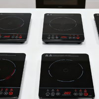 双十一送哪款电磁炉给爸爸妈妈？汇总五个高口碑款式