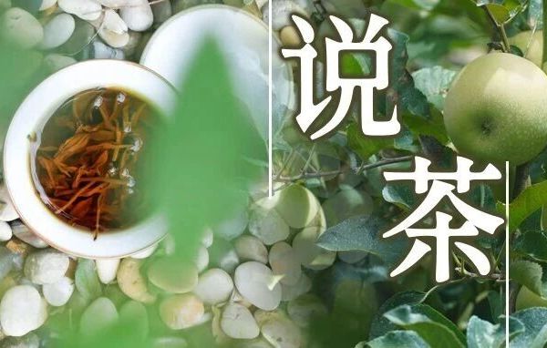 说茶 ‖精心打造的一颗辰星——英红九号