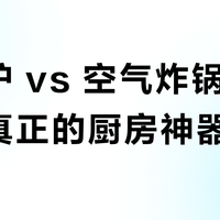 微波炉 vs 空气炸锅：谁才是真正的厨房神器？38位用户真实体验告诉你答案
